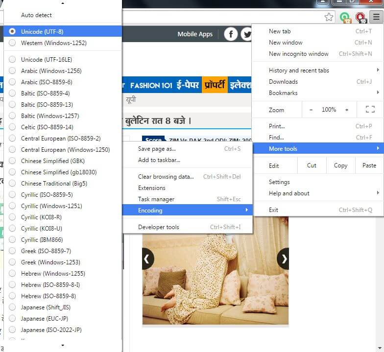 Setting Chracter Encoding in Google chrome for Punjabi